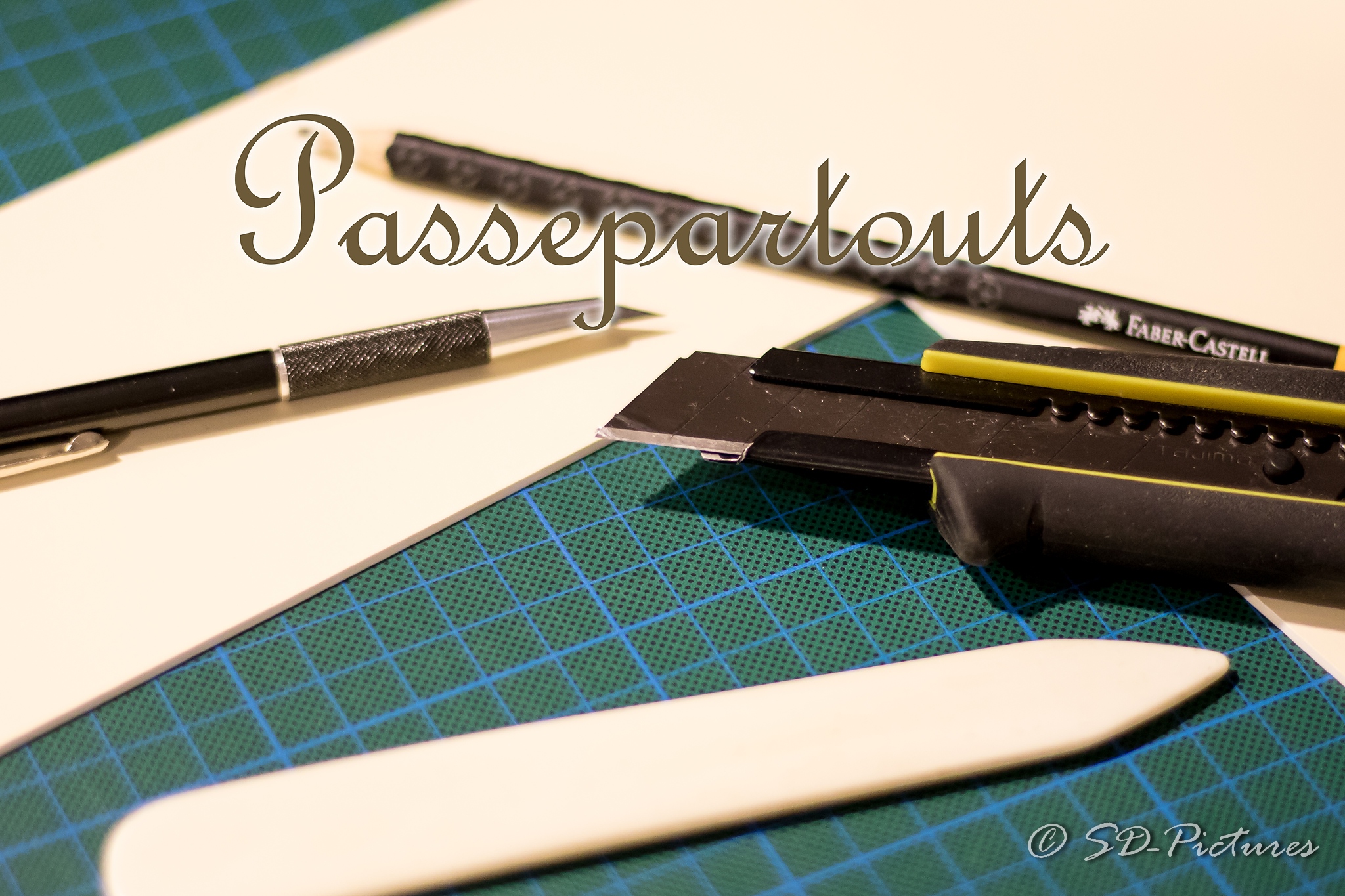 Passepartouts nach Maß